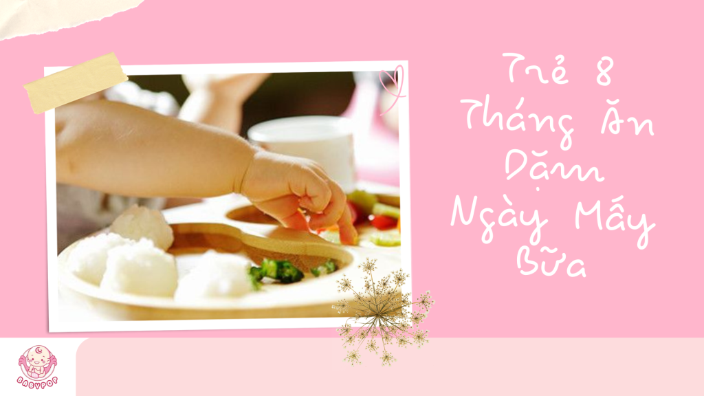 Ảnh đại diện Trẻ 8 Tháng Ăn Dặm Ngày Mấy Bữa