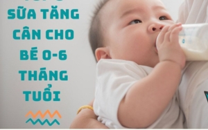 sữa tăng cân cho bé 0–6 tháng