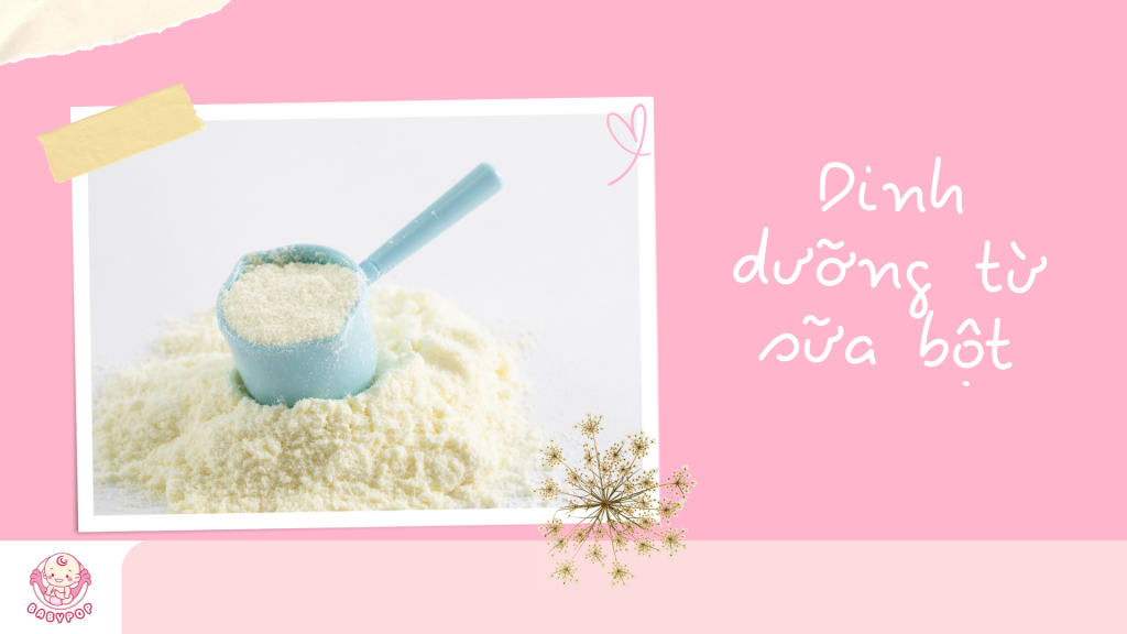 Dinh Dưỡng Từ Sữa Bột